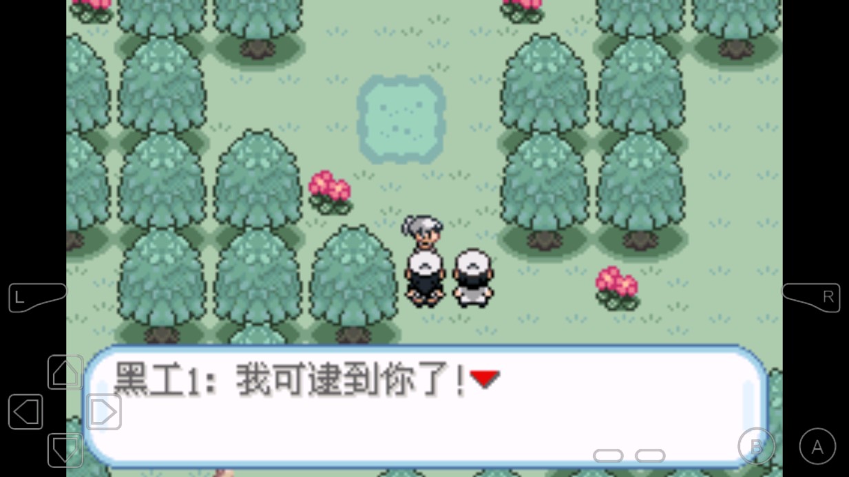 口袋妖怪無名修改器版(3.43)