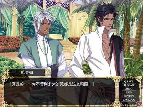 熱砂樂(lè)園漢化版 v3.1.11