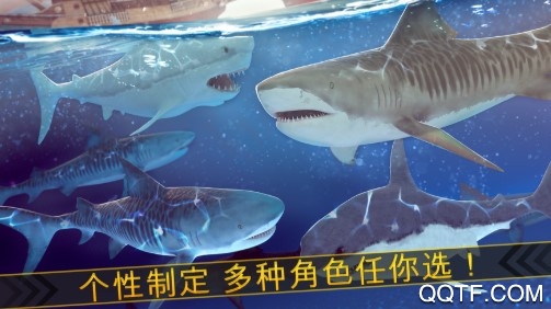 真實(shí)鯊魚模擬器破解版