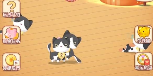 幸福貓咪社app最新版