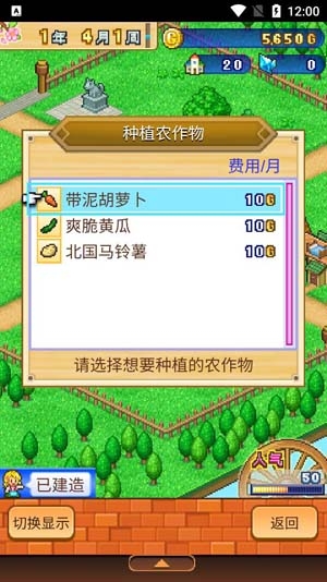 冒險村物語2安卓漢化版