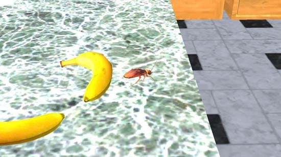 蟑螂模擬器游戲官方版(Cockroach Insect Simulator)