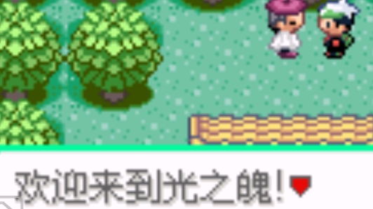 口袋妖怪光之魄金手指版
