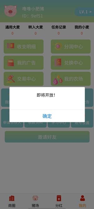 嚕嚕小肥豬官方版
