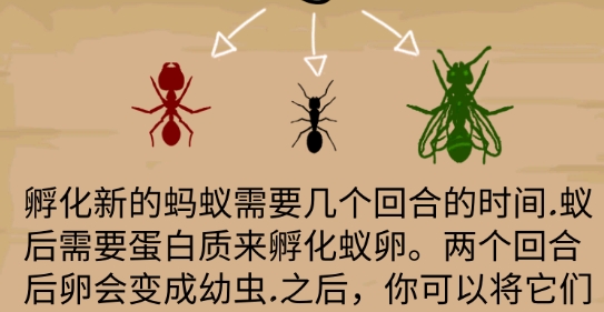 螞蟻生存模擬器漢化版