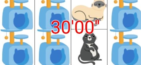 打貓貓游戲