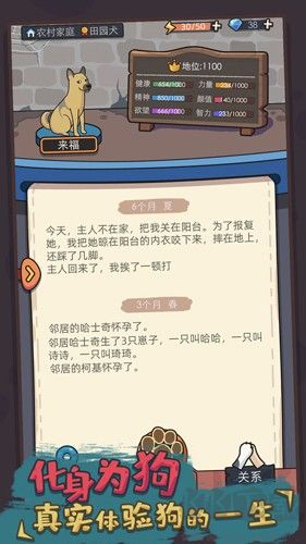 狗生模擬器無廣告版