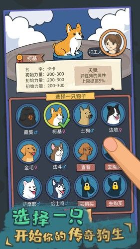狗生模擬器無廣告版