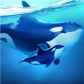 水世界探險指南 v.4.16.0