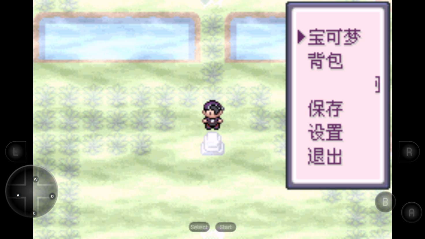 精靈寶可夢(mèng)夏夜夢(mèng)境官方版