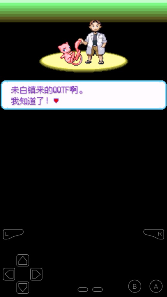 口袋妖怪永夜破解版