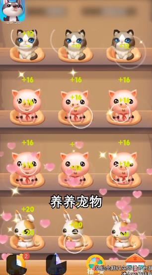 全民養(yǎng)寵物手游新版本