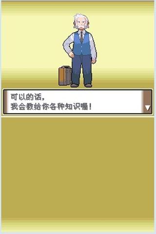 口袋妖怪白金中文版
