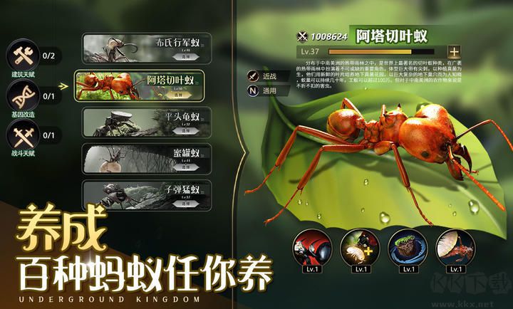 小小蟻國無限資源內(nèi)購修改版 v2023.2 安卓版