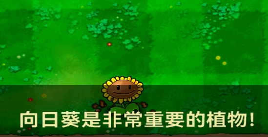 植物大戰(zhàn)僵尸北美漢化版