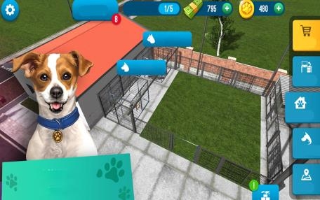 動物收容所模擬器手游最新版
