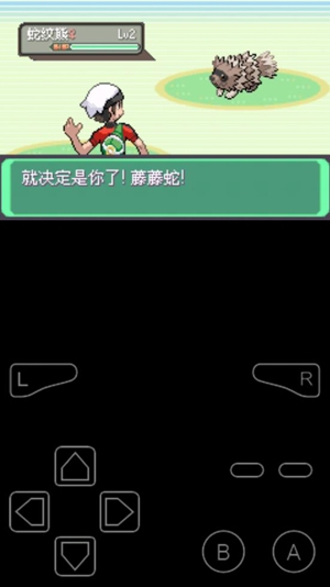 口袋妖怪劊耀之影永久超進(jìn)化作弊版