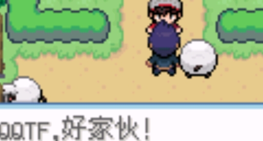 口袋妖怪劍盾10.1金手指版