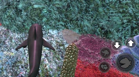 饑餓鯊魚求生免廣告版