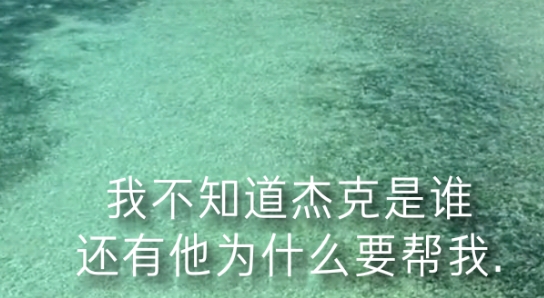 通緝者蟲(chóng)蟲(chóng)助手安裝器漢化版