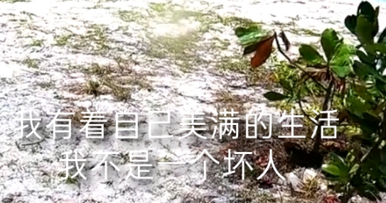 通緝者蟲(chóng)蟲(chóng)助手安裝器漢化版