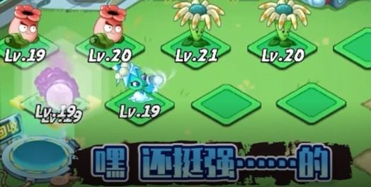植物大戰(zhàn)僵尸2世界小游戲
