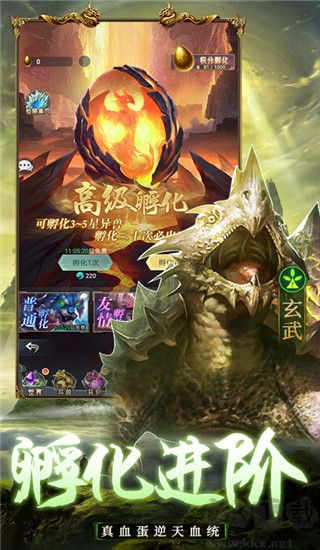 千鳥飛絕正版
