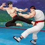 功夫大師動作格斗手游 v3.5.1 最新版
