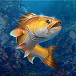 釣魚胡克內(nèi)購版 v2.5.6 安卓版