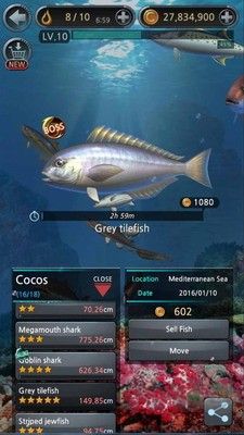 釣魚胡克內(nèi)購版