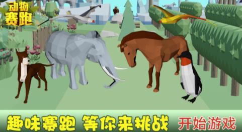 動物競賽手游最新版