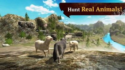 狼族 v3.5.1 最新修改版