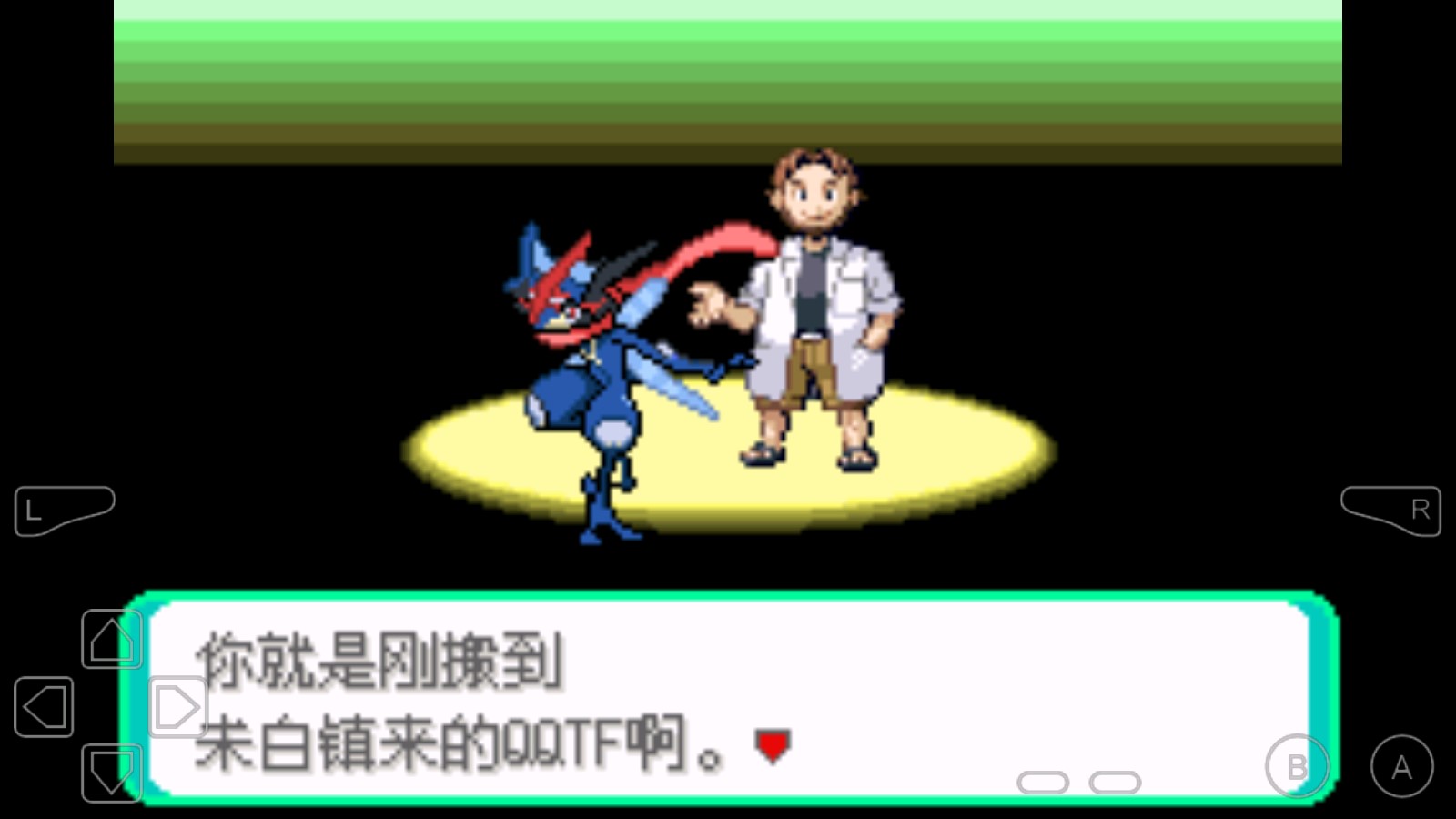 口袋妖怪劊曜之影永久Mega進化金手指
