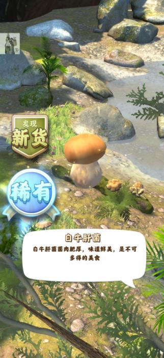 奪筍高手無(wú)廣告版