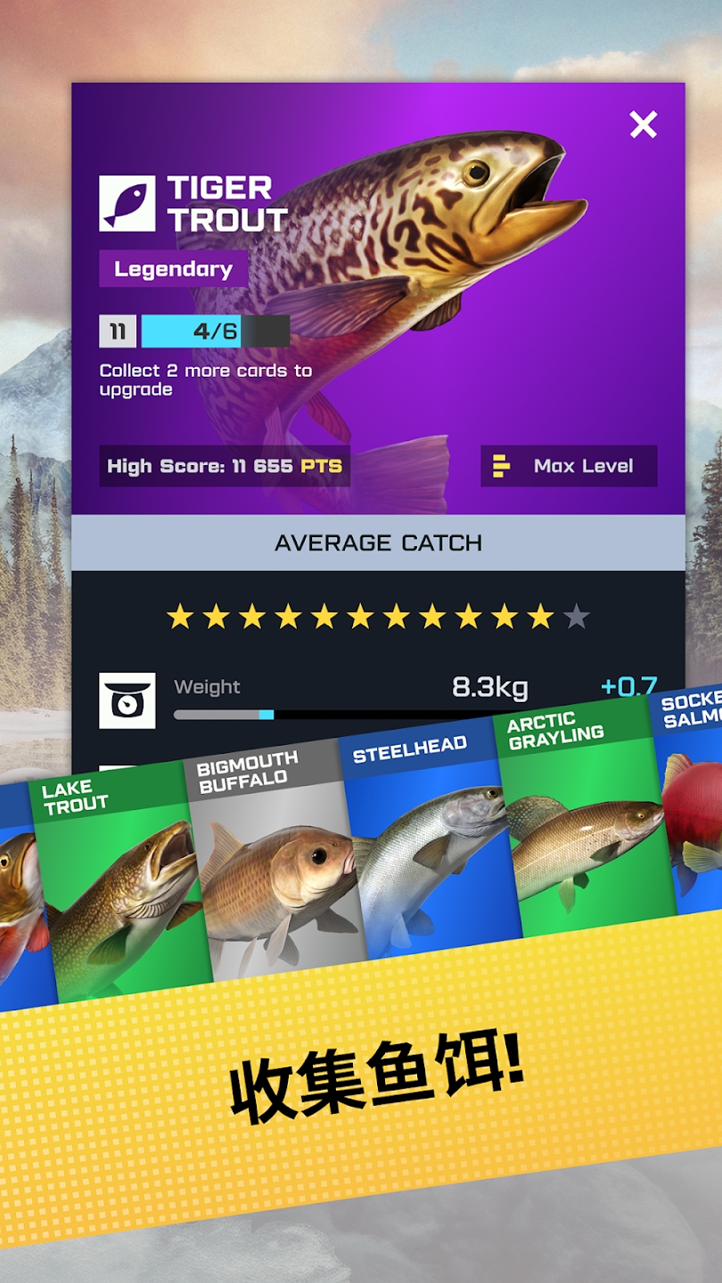 Fishing Tour新版本發(fā)布