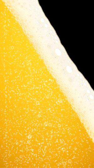 啤酒模擬器最新版(Beer Simulator - iBeer)