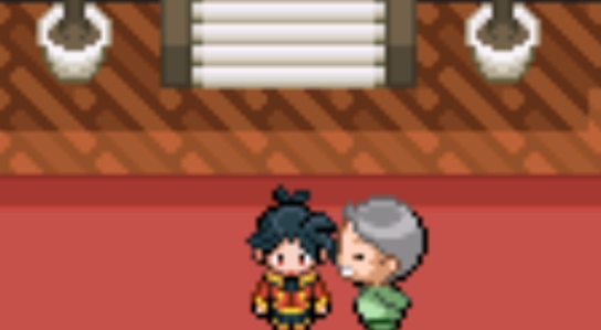 口袋妖怪天空的掌權(quán)官方版