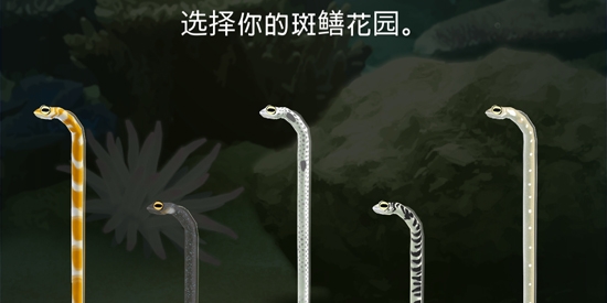 斑鱔花園無限愛心版(Garden Eel)