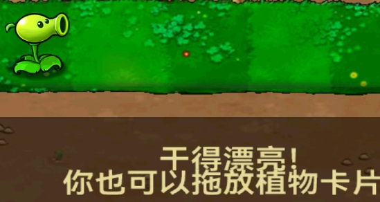 植物大戰(zhàn)僵尸北美版漢化版(植物大戰(zhàn)僵尸北美漢化版)