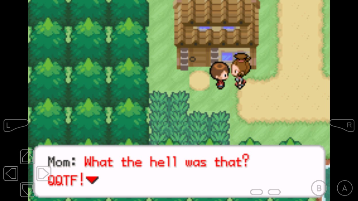 口袋妖怪賽義夫正式版