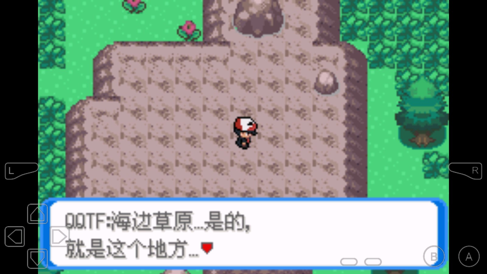 口袋妖怪決心GBA內(nèi)置修改器