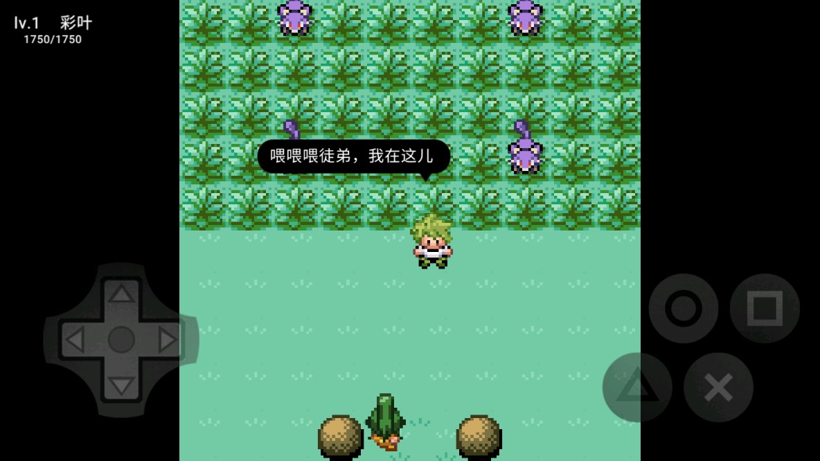 口袋妖怪混沌官方版