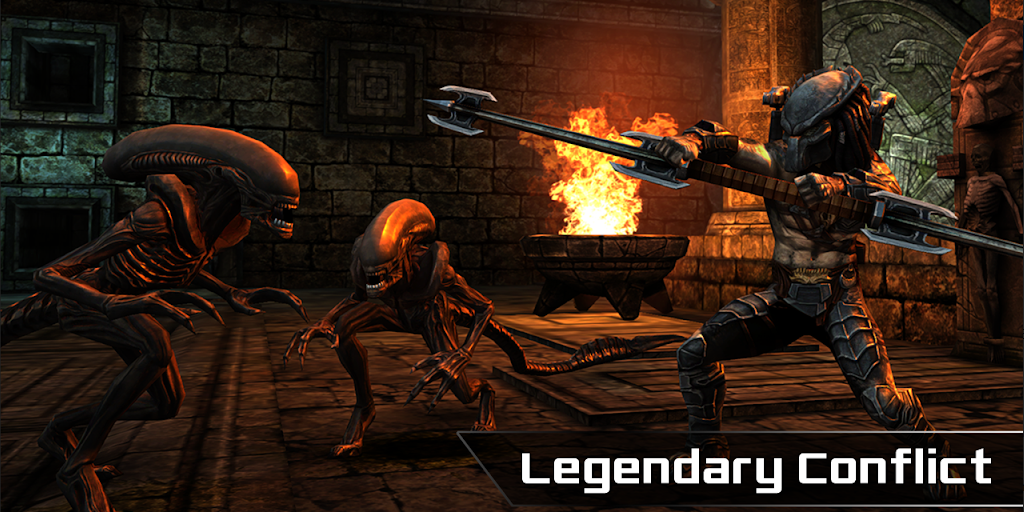 AVP Evolution