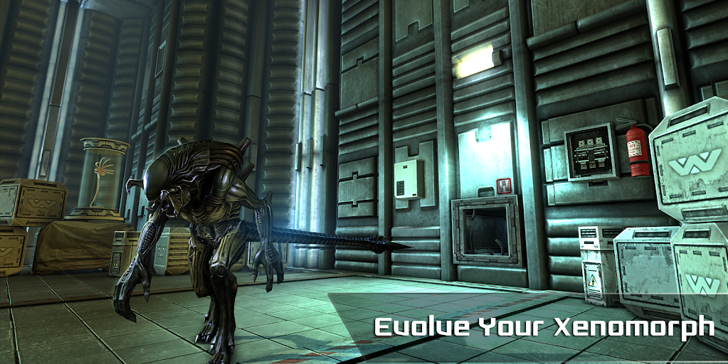 AVP Evolution