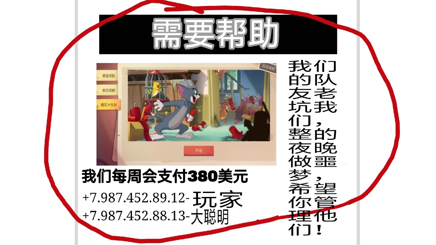 午夜后宮：貓和老鼠