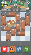 Push Push Cat 最新版
