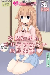 犬耳少女最新版本(Wondaful)