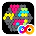 六角拼圖游戲Hex FRVR官方版