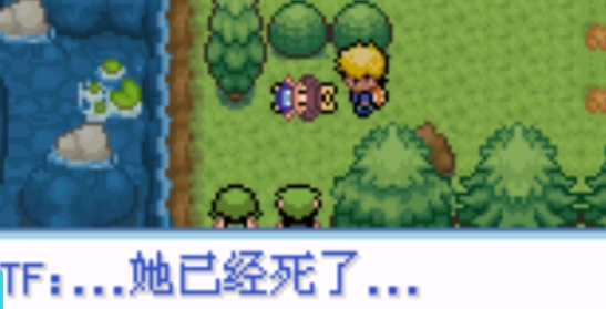 口袋妖怪秩序的崩壞破解版