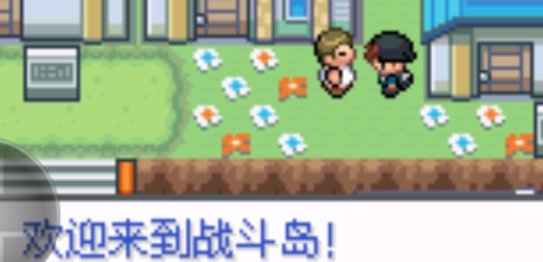 口袋妖怪戰(zhàn)斗漢化版
